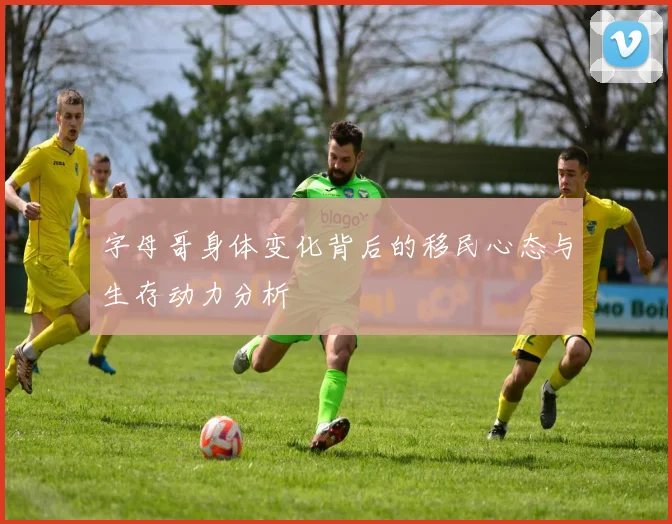 字母哥身体变化背后的移民心态与生存动力分析